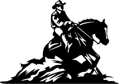 cowboy reining in horse